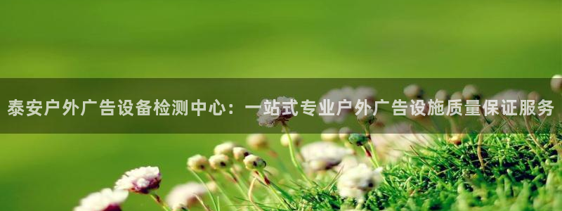 杏宇平台是什么：泰安户外广告设备检测中心：一站式专业户外广告设施质量保证服务