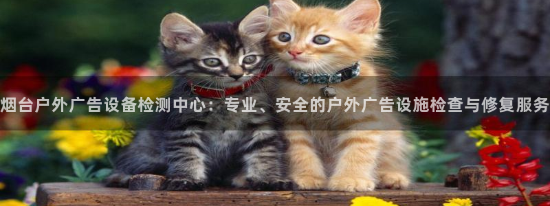 杏宇平台提现为什么这么久呢：烟台户外广告设备检测中心：专业、安全的户外广告设施检查与修复服务