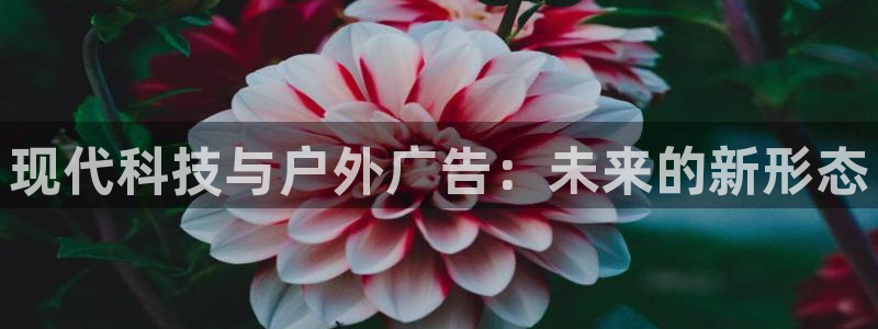 杏宇平台代理怎么赚钱：现代科技与户外广告