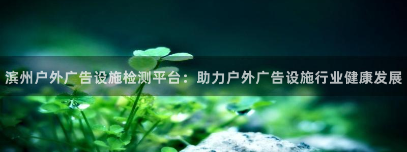 杏宇平台是什么：滨州户外广告设施检测平台