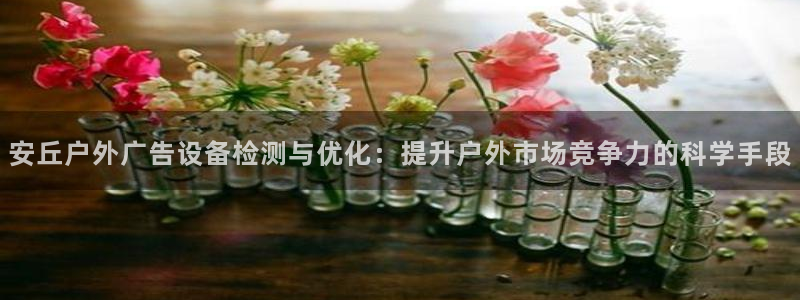 杏宇平台总代理：安丘户外广告设备检测与优