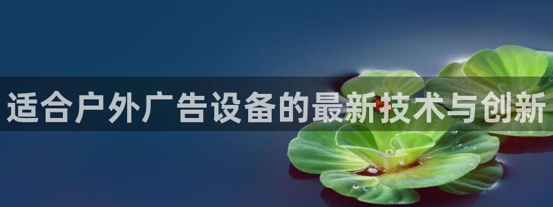 杏宇平台怎么样赚钱：适合户外广告设备的最