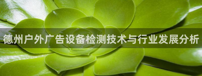 杏宇平台代理多少钱：德州户外广告设备检测