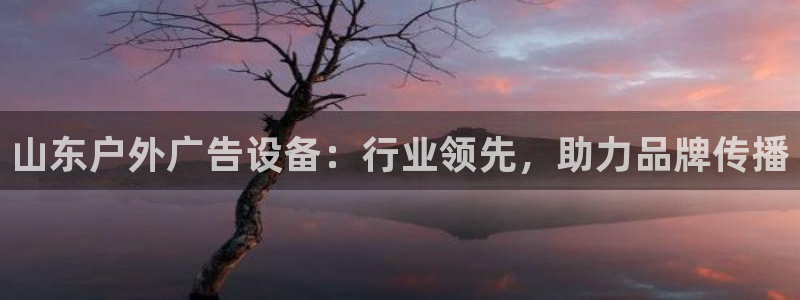 杏宇平台代理多少钱一个月