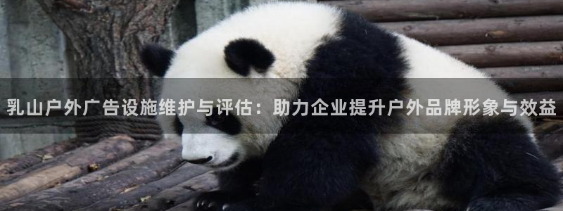 杏宇平台官网注册：乳山户外广告设施维护与评估：助力企业提升户外品牌形象与效益