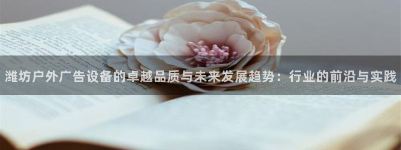 杏宇平台代理多少钱一次：潍坊户外广告设备