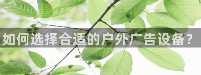 杏宇平台怎么样赚钱：如何选择合适的户外广告设备？