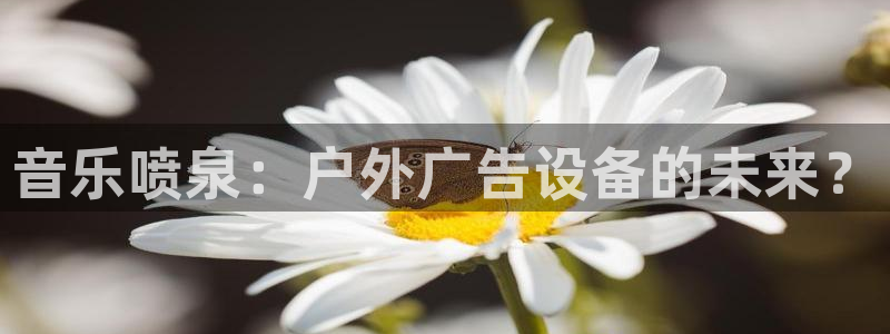 杏宇平台代理多少钱一个月：音乐喷泉：户外