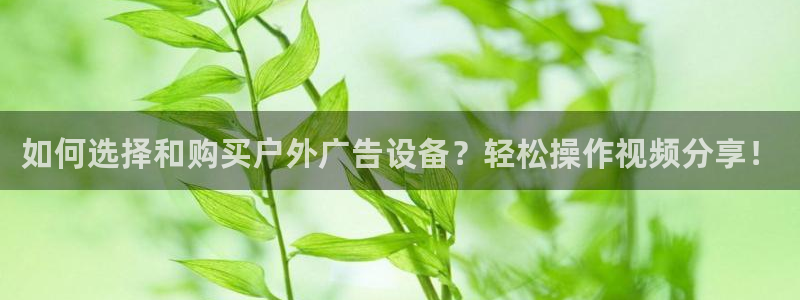 杏宇平台怎么样赚钱：如何选择和购买户外广