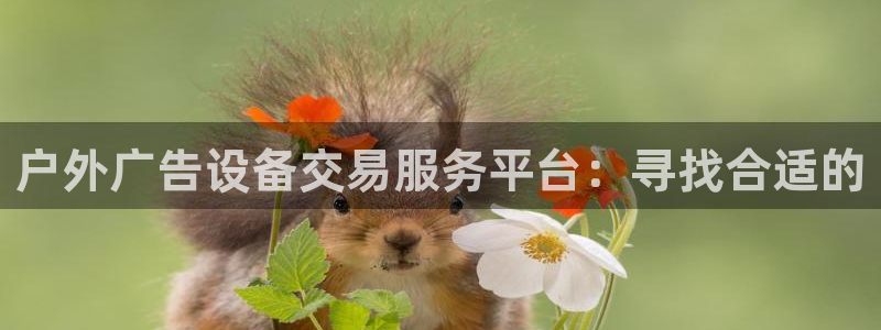 杏宇平台主管：户外广告设备交易服务平台：寻找合适的