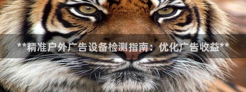 杏宇平台总代理电话